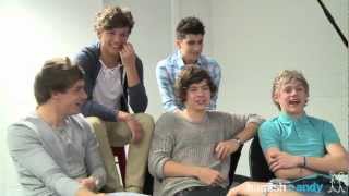 Your One Direction Interview [upl. by Benoite446]