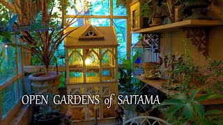 【Private Residence】 OPEN GARDENS of SAITAMA in the in the Autumn 埼玉、秋の個人宅へ訪問 ハーバルハウス オープンガーデン [upl. by Eiveneg74]