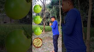 Mummy ki Roti Gol Gol magic video 😄shorts trendingshorts [upl. by Marigolda]