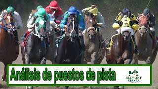 Análisis de los puestos de pista del BelmontStakes  EN VIVO [upl. by Rudelson]