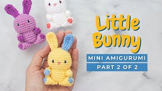 How to crochet a bunny Little Easter Bunny amigurumi tutorial pattern PART 2 [upl. by Haikezeh]