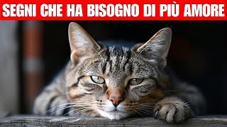 6 segni che il vostro gatto non è legato a voi [upl. by Krik]