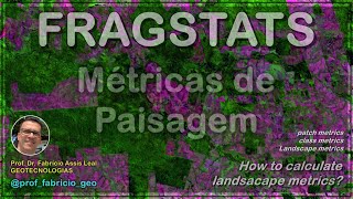 Tutorial Fragstats  Aprenda como calcular métricas de paisagem [upl. by Giverin]