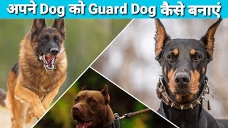 how to train a dog to guard your home  Apne dog ko guard kese banaye  Guard Dog trening [upl. by Eon]