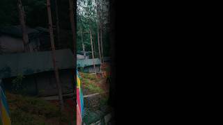 Camping View Jungle Camping camping junglecamping jungle offbeat ytshorts shortvideo ytviral [upl. by Blasien]