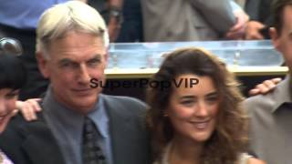 Pauley Perrette Mark Harmon and Cote de Pablo at Mark Ha [upl. by Sinne]