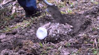 Anthill casting of small black ants [upl. by Naerda476]