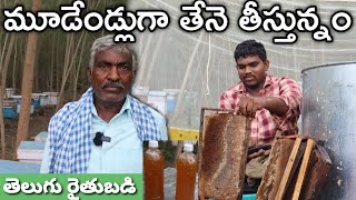 130 పెట్టెలతో తేనె తీసి అమ్ముతున్నం  Honey Farming  రైతు బడి [upl. by Oriel]