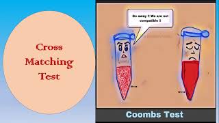 Cross Matching Test  Coombs Test أختبار التطابق [upl. by Resaec67]