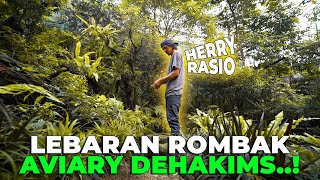 LEBARAN BERSAMA CAK HERRY RASIO TRIMMING AVIARY [upl. by Gwendolyn838]