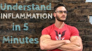 Inflammation Explained Inflammatory Response with Dr Landon Pryor [upl. by Jarrod407]