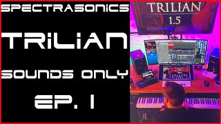 VLADAN  Spectrasonics Trilian  Electric Bass ep1  Sounds only [upl. by Anelec]