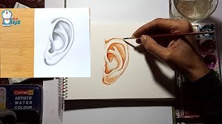 How to paint ear in watercolor  ft Farjana Drawing Academy [upl. by Amersham]