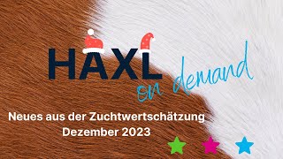 HAXL on demand  ZWS Dezember 2023 [upl. by Reilly]