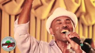 Best of Muktar Usman Oromo Music Collection [upl. by Gennie]