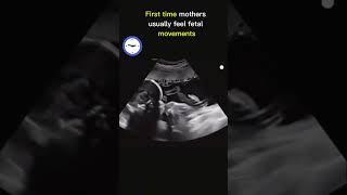 Babys First Powerful Kicks 💕 in womb 💕 Boy or Gir 🥰  Ultrasound pregnancy ultrasound baby [upl. by Thisbe]