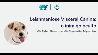 Leishmaniose visceral canina o inimigo oculto  MV Fabio Navarro e MV Samantha Miyashiro [upl. by Eylatan]