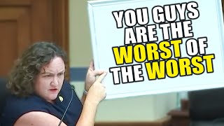 Katie Porter Mops the Capitol Floor with Greedy CEOs Tears [upl. by Crow]