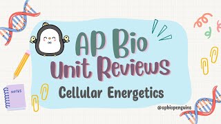 AP Biology Review Unit 3 Cellular Energetics [upl. by Nelag261]