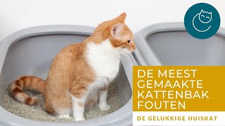 DE MEEST GEMAAKTE FOUTEN MET DE KATTENBAK [upl. by Adnylam]