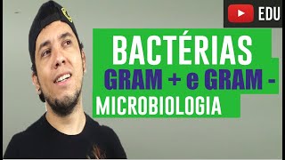 Aula 1 Bactérias Gram  e Gram  Curso de Microbiologia [upl. by Anitram307]