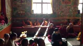 Tibetan Buddhist monks chanting in monastery in Nepal during a special puja [upl. by Ilak818]