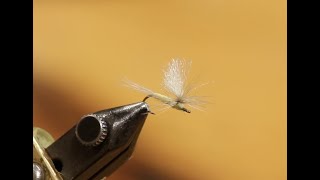 Tying a Parachute PMD with Kelly Galloup [upl. by Ateekram]