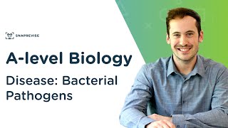 Disease Bacterial Pathogens  Alevel Biology  OCR AQA Edexcel [upl. by Eberta]