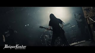 Ingested  Invidious OFFICIAL VIDEO [upl. by On]