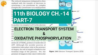 Class 11 BiologyCh14 Part7ETS amp oxidative phosphorylationStudy with Farru [upl. by Sacul834]