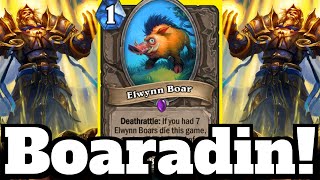 Elwynnadin Boaradin Paladin SHOCKINGLY FAST  Hearthstone [upl. by Durware]