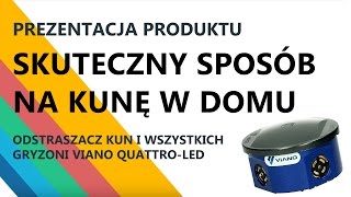 Skuteczny sposób na kunę w domu Jak pozbyć się myszy i szczurów [upl. by Aihsek]