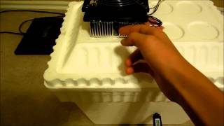 DIY Thermoelectric Peltier Mini Fridge [upl. by Hildegarde973]