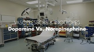 Dopamine vs Norepinephrine  Vasopressors amp Inotropes [upl. by Euqirrne556]