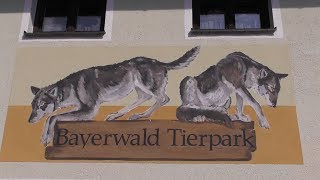 Bayerwald Tierpark in Lohberg [upl. by Babara921]