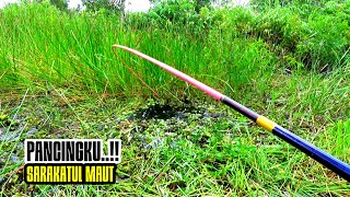 Gak Main2 Pemancing Liar Kelabakan Ketika Ikan Langka Menyerang Umpanku [upl. by Akkahs514]