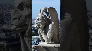 GARGOYLES 8 Interesting Facts shorts [upl. by Yatnoed509]