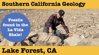 Southern California Geology  Fossils found [upl. by Halvaard]