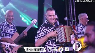 Banda Real  EN VIVO  FIESTA COMPLETA [upl. by Sillsby]