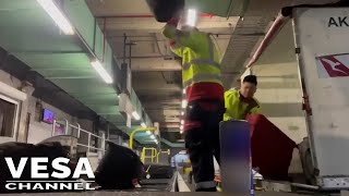 Baggage handlers filmed throwing passengers luggage onto a conveyor belt [upl. by Dett]