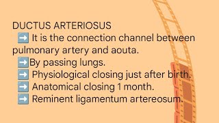 DUCTUS ARTERIOSUSDUCTUS VENOSUS FORAMEN OVALE [upl. by Annaehr]