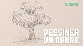 Dessiner un Arbre [upl. by Nnahoj]