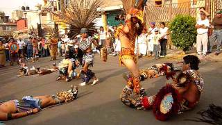 DANZA AZTECA  AGUILA BLANCA [upl. by Yrreb2]