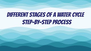 Different Stages of a Water Cycle  StepByStep Process [upl. by Hanley]