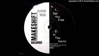 Anthill Mob  In The Name Makeshift Records  MR001 [upl. by Eilram]