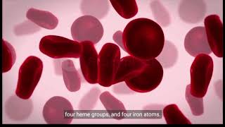 Chapter 2 Hemoglobin Electrophoresis explain [upl. by Ojoj523]