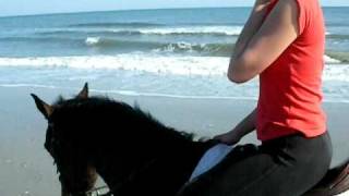 horseback riding on the beach [upl. by Pokorny]