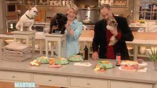 Healthy Pet Food ⎢Dr Marty Goldstein ⎢Martha Stewart [upl. by Hamimej68]