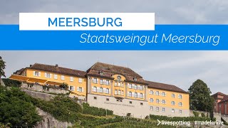 Staatsweingut Meersburg mit Blick über den Bodensee [upl. by Iamhaj]