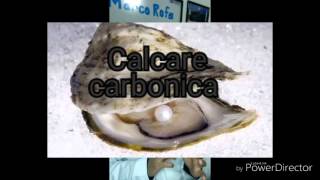 Calcarea carbonica homeopatia [upl. by Farhi]